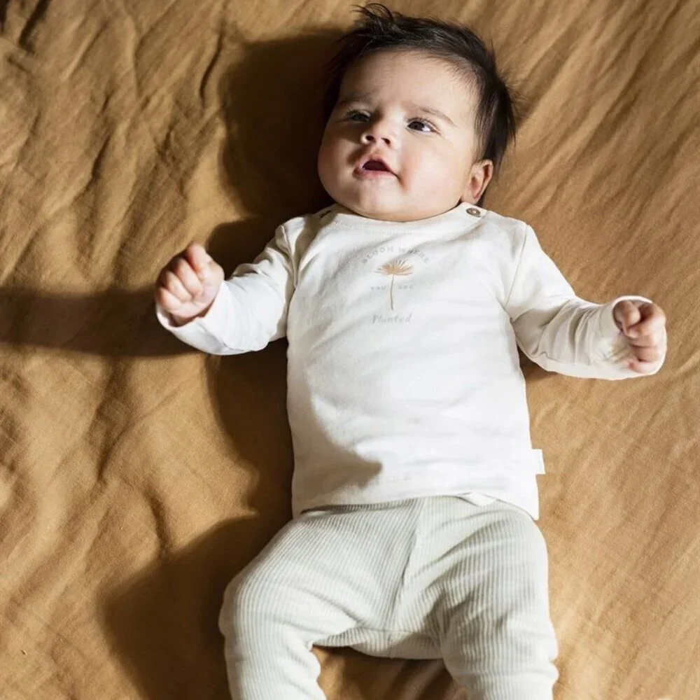 NWT - Organic neutral premium European brand set​​​ - Picture 6 of 6